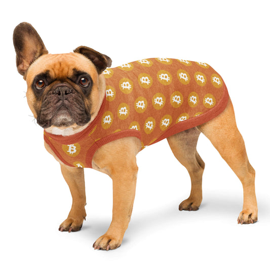 Orange Trad Bitcoin Knitted Pet Sweater