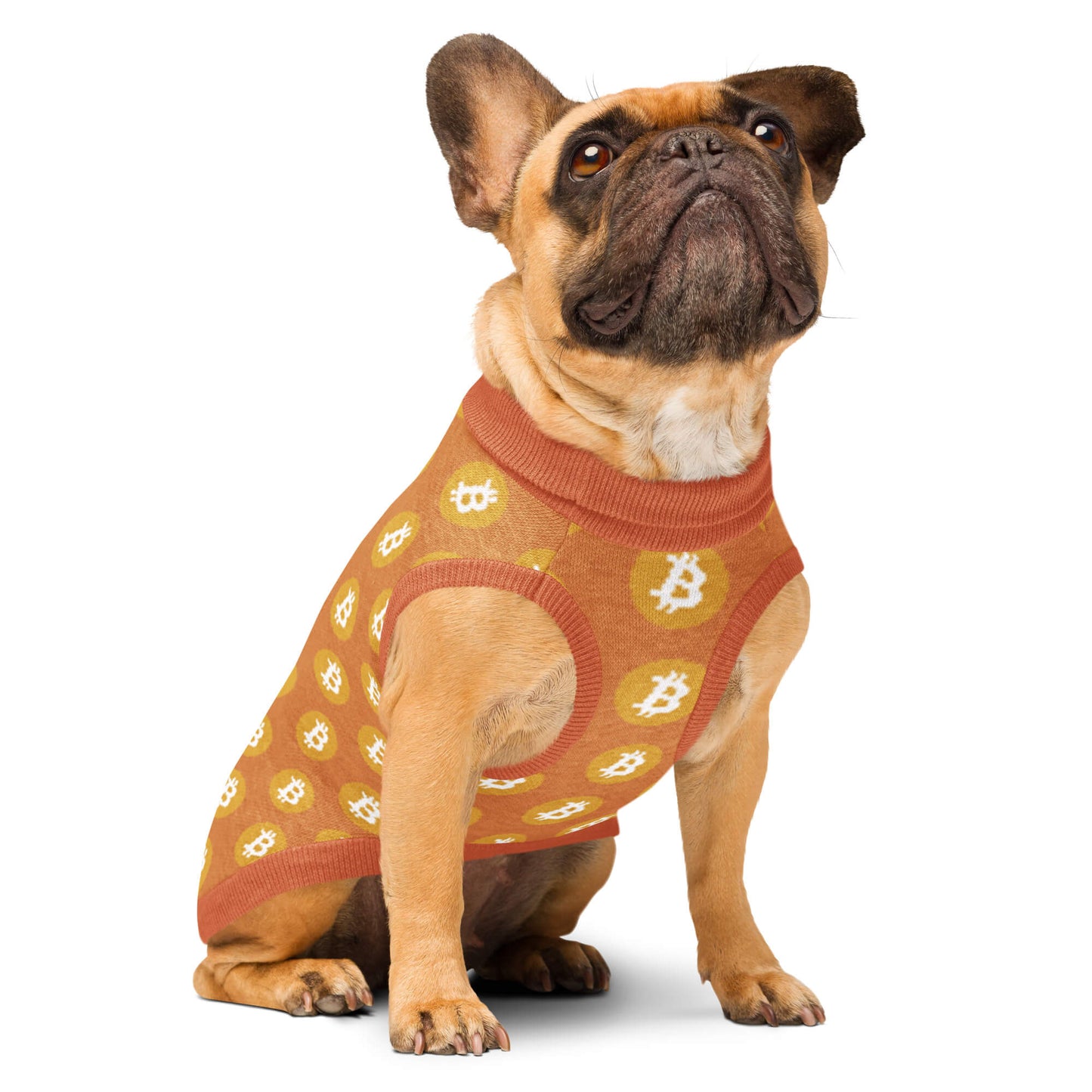 Orange Trad Bitcoin Knitted Pet Sweater